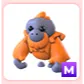 M Orangutan