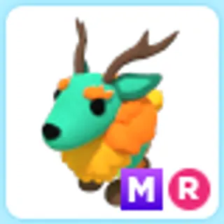 MR Kirin