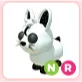 NR Moon Rabbit