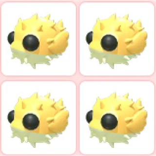 4x Puffer Fish