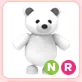 NR Polar Bear