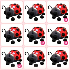 9x Ladybug