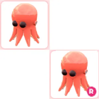2x Octopus