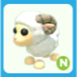 N Ram