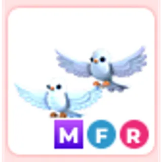 MFR Turtle Doves