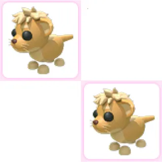 2x Lion Cub