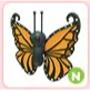 N Orange Butterfly
