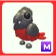 M Dracula Parrot