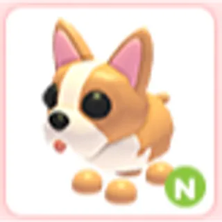 N French Bulldog