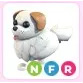 NFR Great Pyrenees