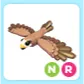 NR Black Kite