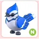 N Blue Jay