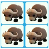 4x Musk Ox