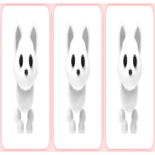 3x Arctic Fox