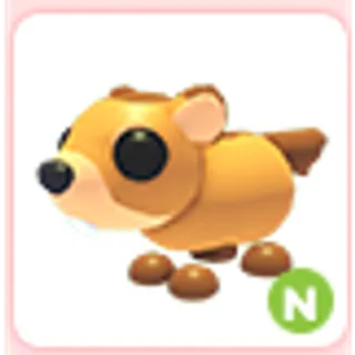 N Groundhog