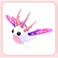sea slug