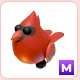 M Red Cardinal