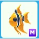 M Anglefish