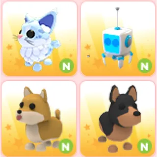 4x N Pet