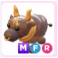 Pet | MFR Ox