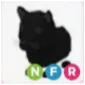 Pet | NFR Black Panther