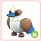 N Kookaburra