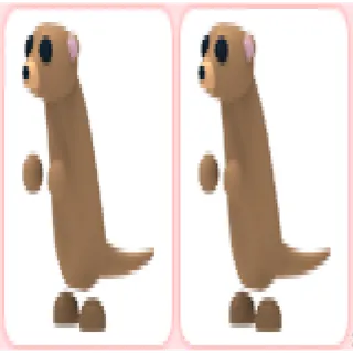 2x Meerkat