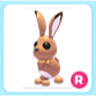 R Hare
