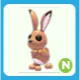 N Hare