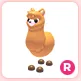 R Alpaca