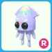 R Squid