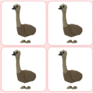 4x emu