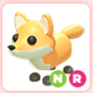 NR Red Fox