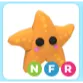 NFR Starfish