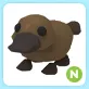 N Platypus