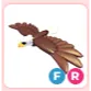 FR Bald Eagle