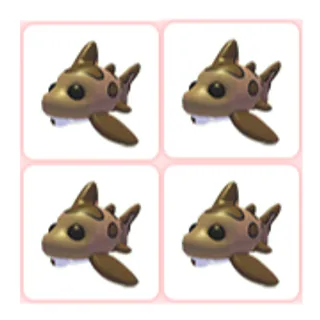 4x Leopard Shark