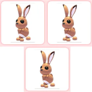 3x Hare