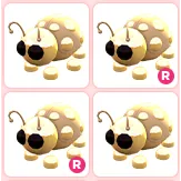 4x Golden Ladybug