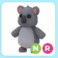 NR Koala