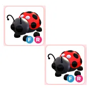 2x FR Ladybug