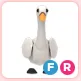 FR Swan