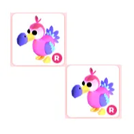 2x R Dodo