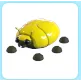 Giant Gold Scarab