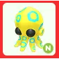 N Blue Ringed Octopus