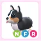NFR Royal Corgi