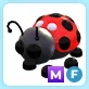 MF Ladybug