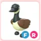 FR Canadian Goose
