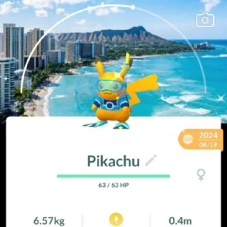 Shiny Pikachu Hawaii Background