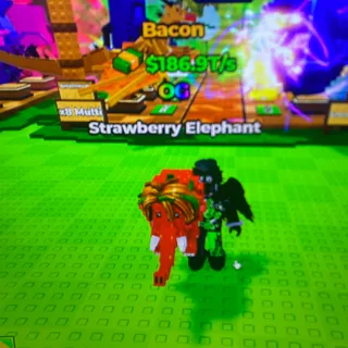 Strawberry elephant